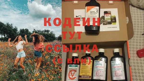 тгк Бородино