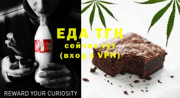 тгк Бородино