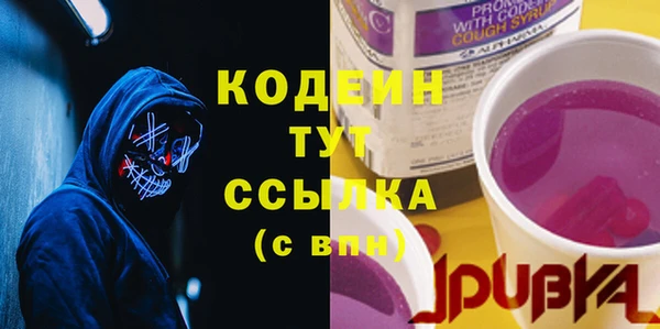 индика Бронницы