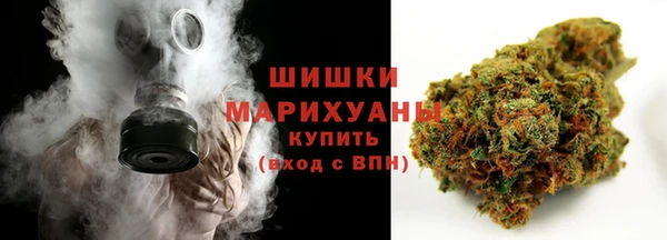 индика Бронницы
