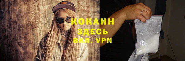 индика Бронницы