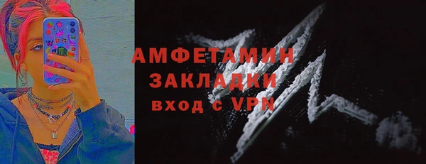 индика Бронницы