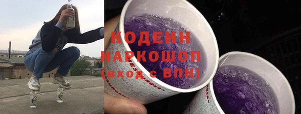 индика Бронницы