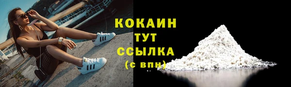 тгк Бородино