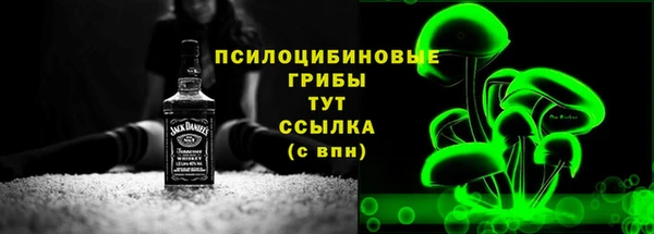 тгк Бородино