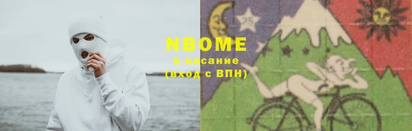 тгк Бородино