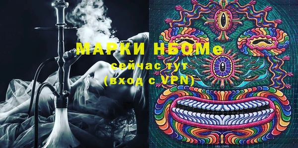 индика Бронницы