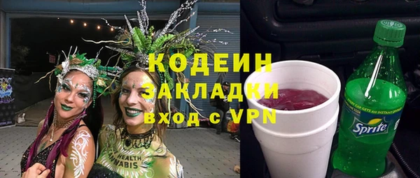 индика Бронницы