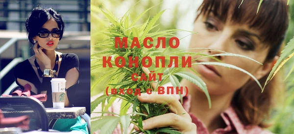 индика Бронницы