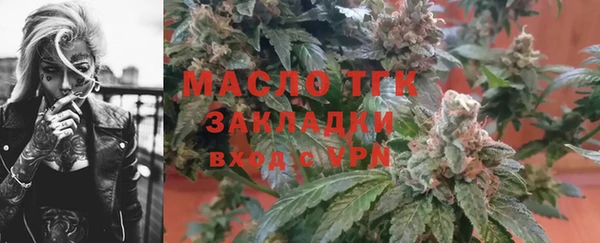 тгк Бородино