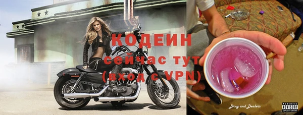 индика Бронницы