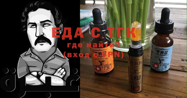 тгк Бородино