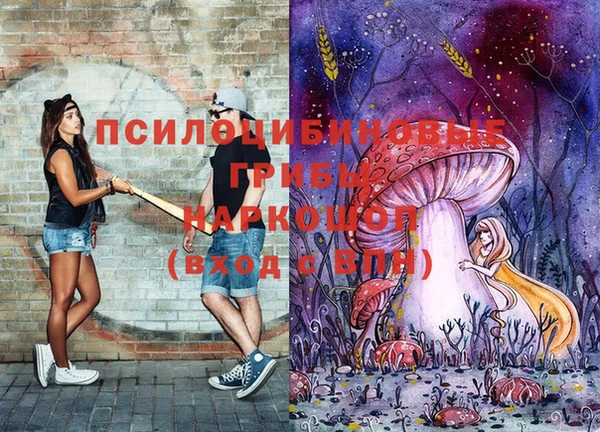 индика Бронницы
